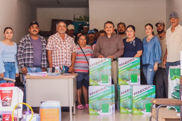 DESARROLLO AGROPECUARIO